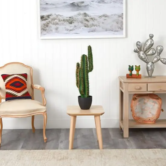 2.5ft. Potted Cactus Plant {4}