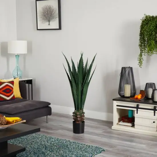 4.5ft. Potted Giant Agave Plant {6}