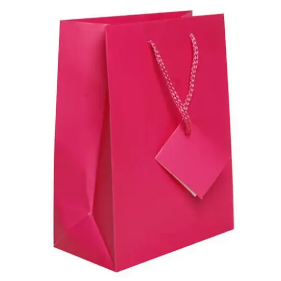 JAM Paper Medium Gift Bags with Rope Handles, 3ct. Hot Pink Matte {1}