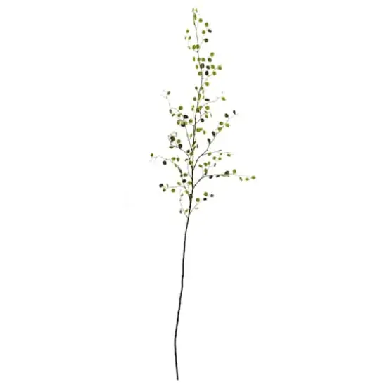 Green Night Willow Stem, 6ct. {1}