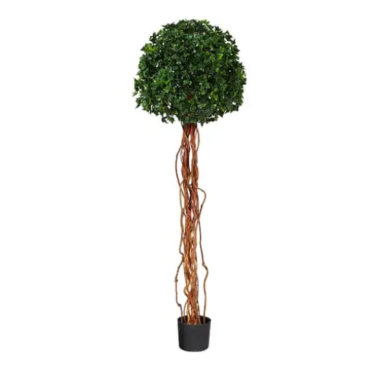 5.5ft. Potted English Ivy Ball Topiary Tree {1}