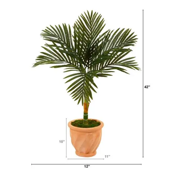3.5ft. Golden Cane Palm Tree in Terra-Cotta Planter {3}