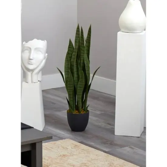 3ft. Snake Plant with Black Planter {7}