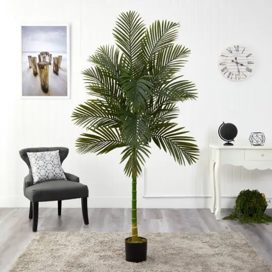 7ft. Potted Golden Cane Palm Tree {4}