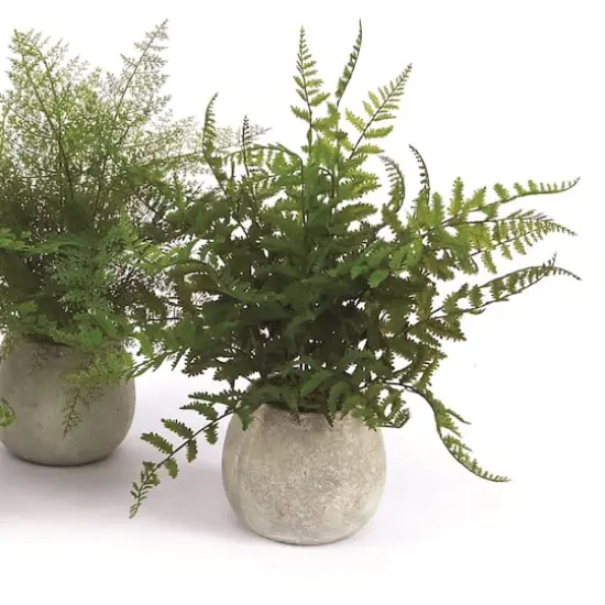 14" Potted Fern Plant in Gray Pot Set {3}