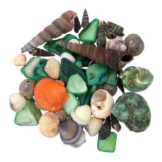 3.5oz. Dyed & Natural Shell Mix by Ashland&reg; {3}