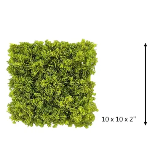 10" Faux Moss Mat by Ashland&reg; {4}