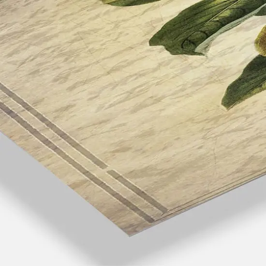 Designart Pear Old Style Sketch Large Cottage 3 Panel Wall Clock {4}