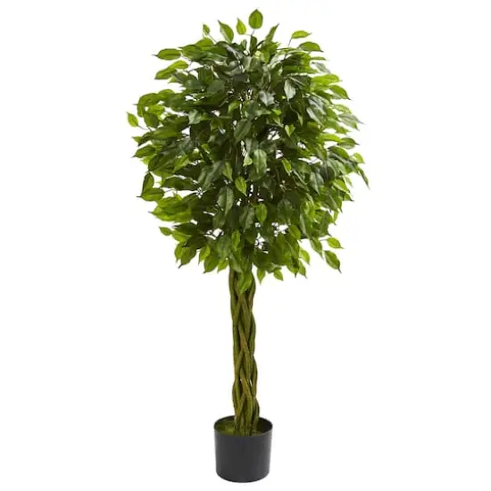 4ft. Potted Woven Trunk Ficus Tree {1}