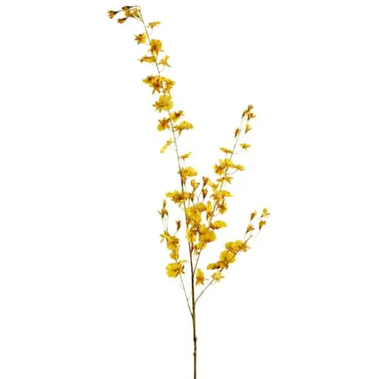 Yellow Dancing Orchid by Ashland&reg; {1}