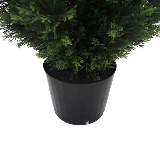 4ft. Potted Green Cedar Tree {6}