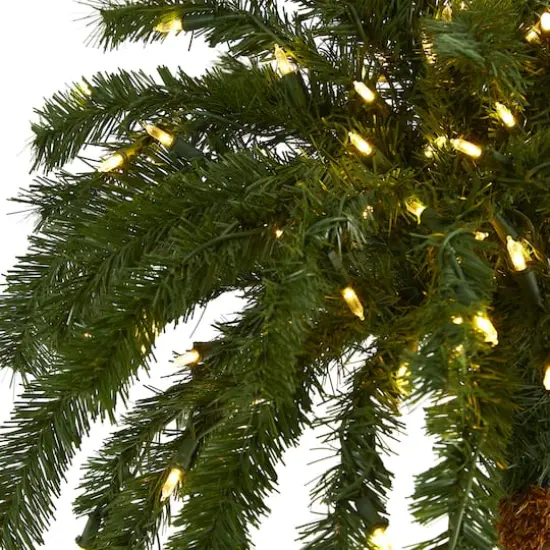 6ft. Pre-Lit Palm Artificial Christmas Tree, Warm White LED Lights {4}