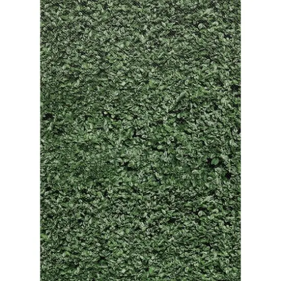 Teacher Created Resources Better Than Paper&reg; Boxwood Design Bulletin Board Roll, 4ct. {1}