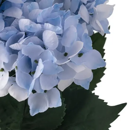 Light Blue Hydrangea Bush by Ashland&reg; {7}