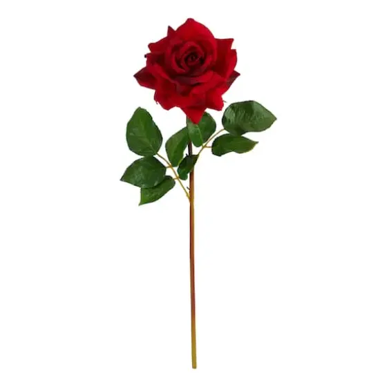 Red Rose Stem, 6ct. {1}