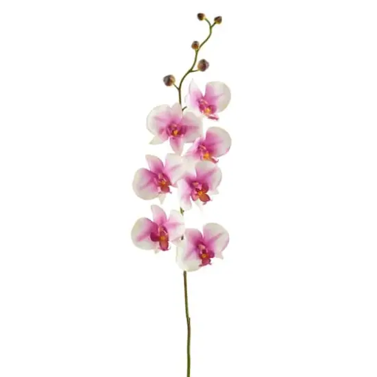 Orchid Spray by Ashland&reg; Pink and White {5}