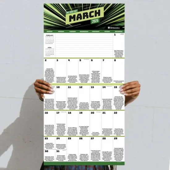 TF Publishing 2025 One Good Fact Wall Calendar {6}
