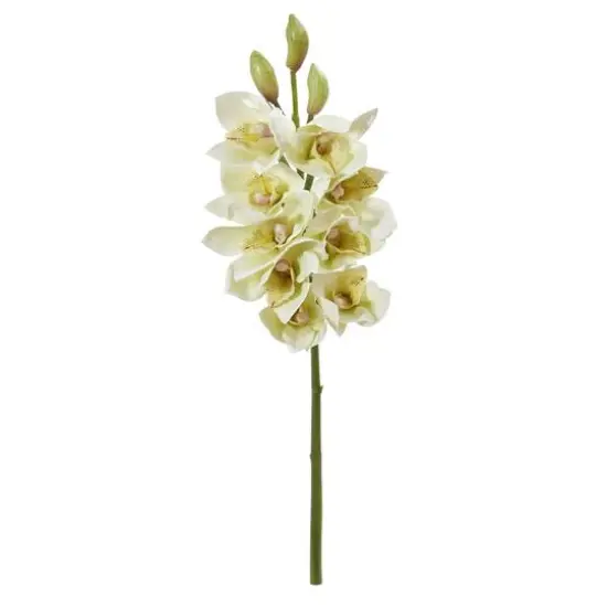 Boat Orchid Flower Spray, 4ct. White {1}
