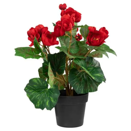 11" Red Potted Silk Begonia Floral Arrangement {4}