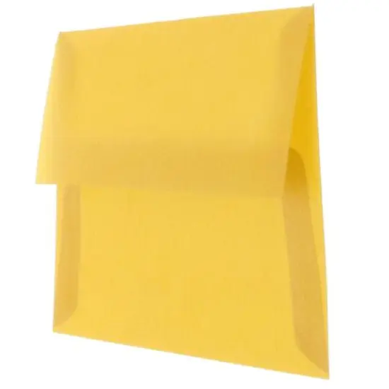 JAM Paper A1 Translucent Vellum Invitation Envelopes, 50ct. Gold {4}