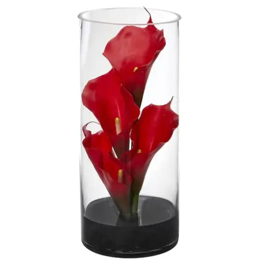 12" Medium Red Calla Lily Arrangement in Cylinder Glass Vase {1}