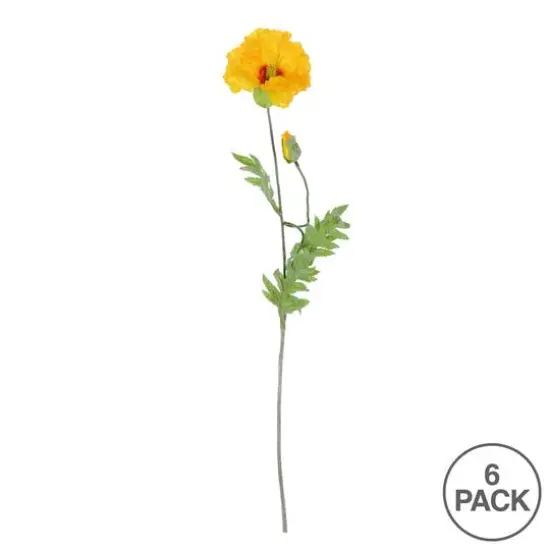 6 Pack: Yellow Poppy Stem {1}