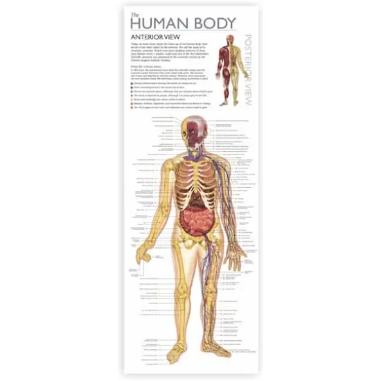 Wonders of Learning Discover the Human Body Educational Tin Set {4}