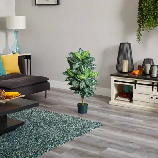 3ft. Potted Zebra Plant {7}