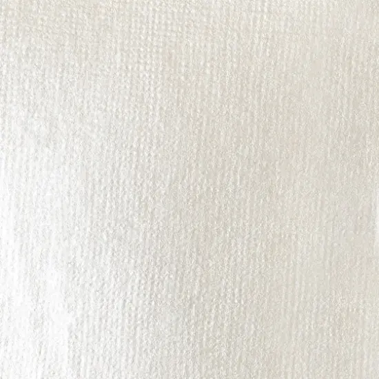 Liquitex&reg; BASICS&reg; Acrylic Fluid, 8.45oz. Iridescent White {3}