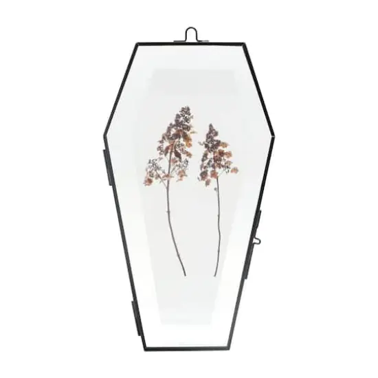 5.25" x 9.5" Black Coffin Glass Frame by Ashland&reg; {1}