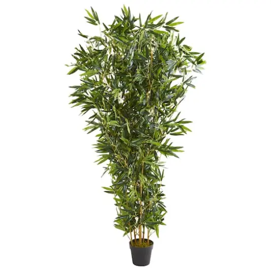 6ft. Potted Bamboo Tree {1}