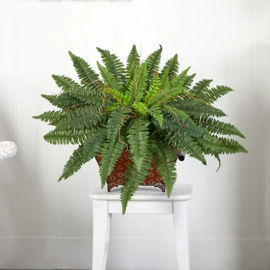 23" Boston Fern In Metallic Planter {5}