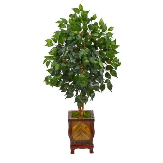 4ft. Ficus Tree in Decorative Planter {1}