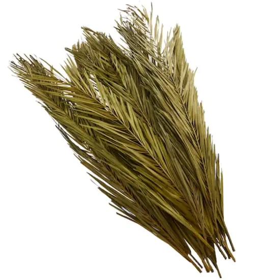 43" Natural Dried Plant Palm Leaf Bunch with Feather-Inspired Stems Green {4}