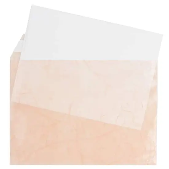 JAM Paper 5.063" x 7.188" Cello Sleeves with Self Adhesive Closures, 100ct. Mauve Fiber {6}