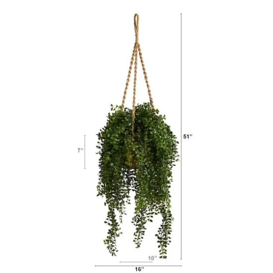 4.5ft. Honey Locust Plant Hanging Basket {3}