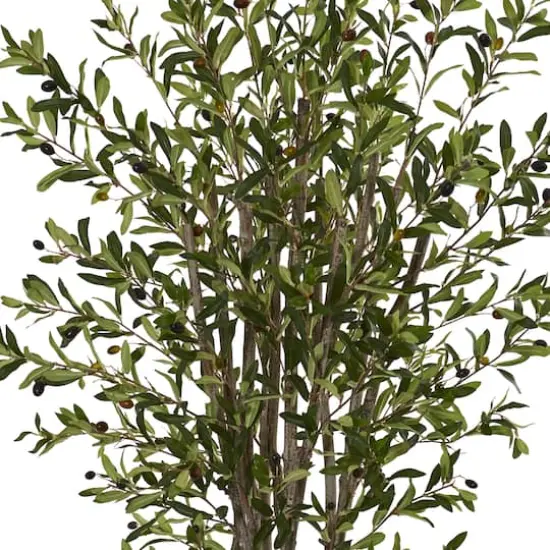 6ft. Olive Tree In White Tower Planter {3}
