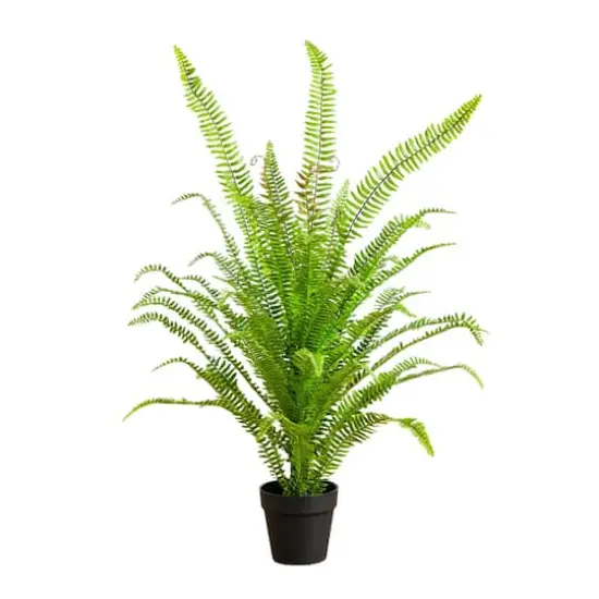 3ft. UV Resistant Artificial Boston Fern Potted Plant with Real Touch Leaves (Indoor/Outdoor) {1}
