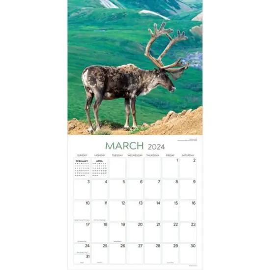 TF Publishing 2024 Wild Wall Calendar {4}