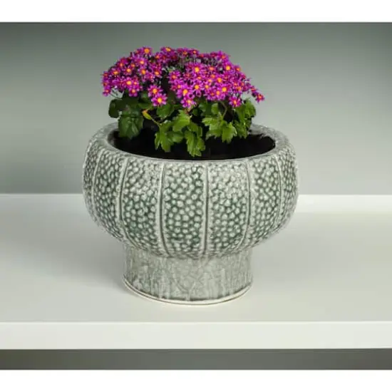 Hello Honey® 10.5" Green Dot Pattern Crackle Glaze Embossed Terra Cotta Footed Vase Planter {3}