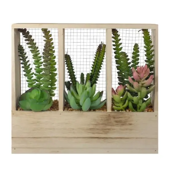 11" Mixed Succulent Arrangement in Wooden Planter Box {1}