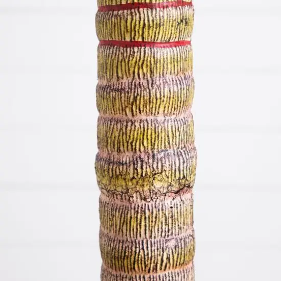 7ft. Potted Coconut Palm Tree {8}