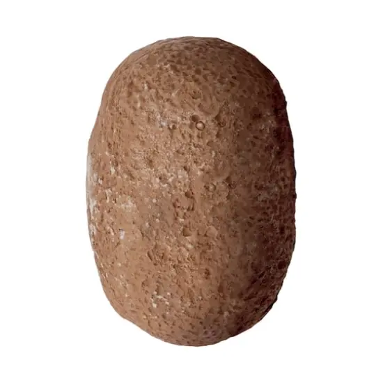 Dig It Up! - Dinosaur Skeletons {6}