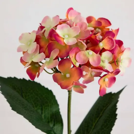 20" Pink Hydrangea Flower Stems, 3ct. {6}