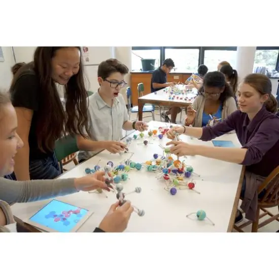 Thames & Kosmos Happy Atoms Educator's Bundle, 250 Atoms {12}