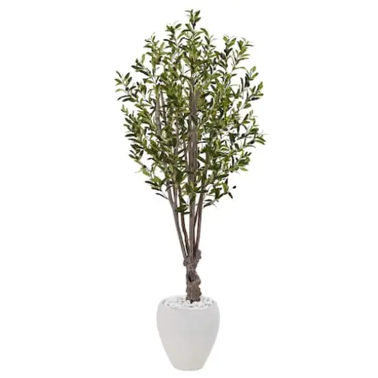 5ft. Olive Tree in White Oval Planter {1}