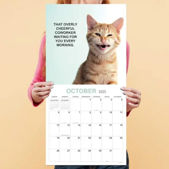 TF Publishing 2025 Corporate Cats Wall Calendar {5}