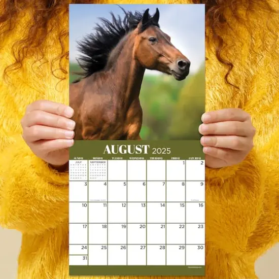 TF Publishing 2025 Horses Mini Calendar {6}