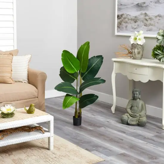 3.5ft. Potted Travelers Palm Tree {5}