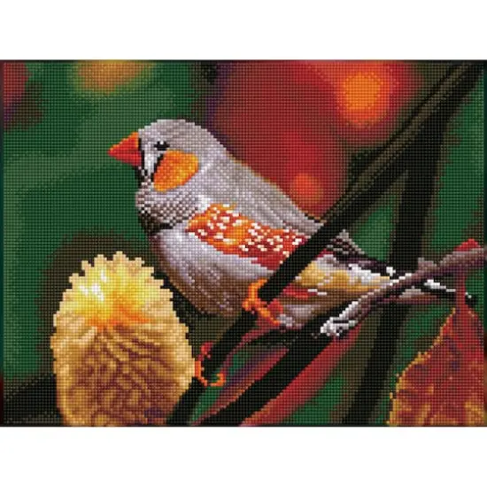 Diamond Dotz&reg; Intermediate Gouldian Finch Pre-Framed Diamond Painting Kit {1}